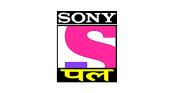 sony-pal.png